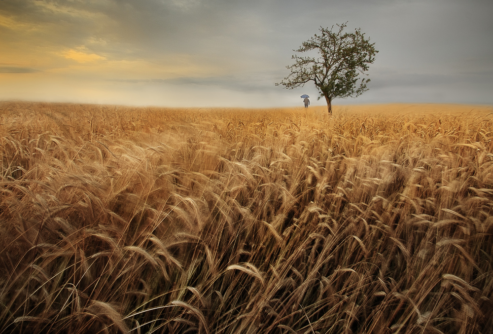 Verregneter Sommer