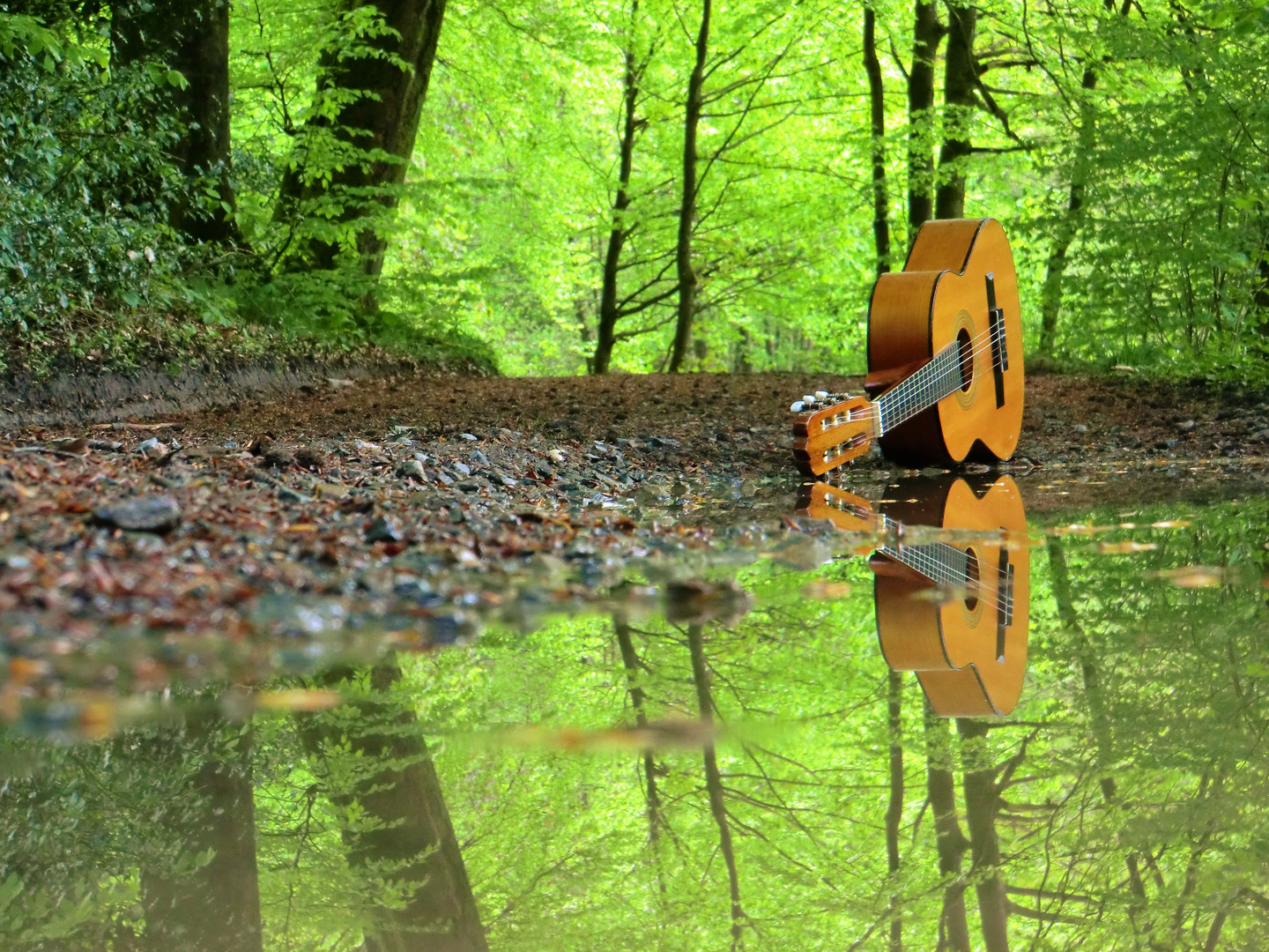 Verregneter Weg im Mai