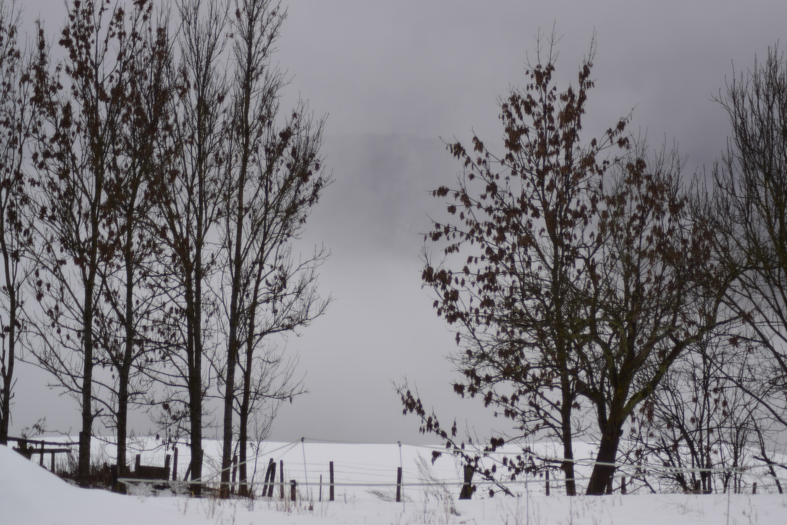 verregneter Wintermorgen 