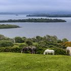 verregnetes Irland