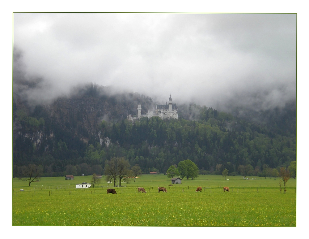 Verregnetes und schönes Neuschwanstein