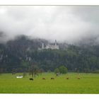 Verregnetes und schönes Neuschwanstein