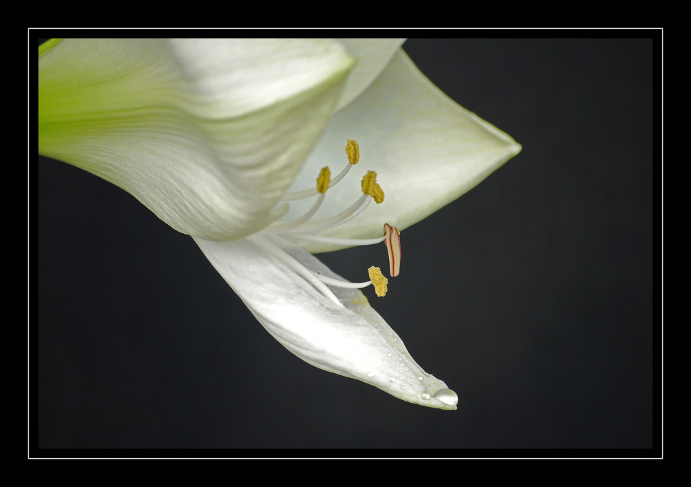 Verregnetes Wochenende