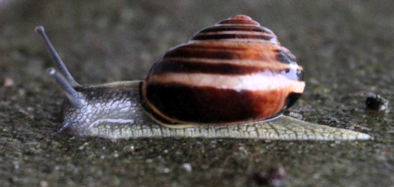 Verreise wegen Regen