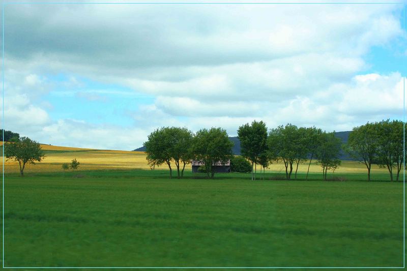 ~ Verrüber gegangen ~