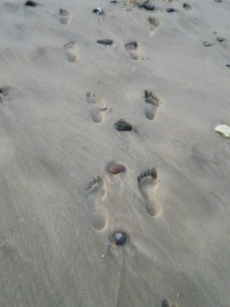 Verrückte Spuren am Strand