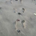 Verrückte Spuren am Strand