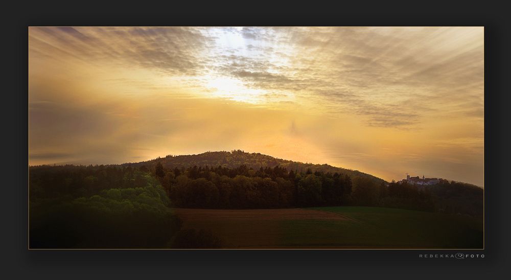 Verrückter Frühling