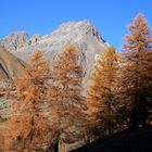 Vers le Brec du Chambeyron