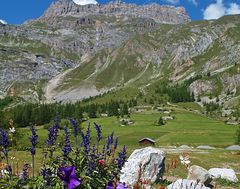 vers le col de l iseran...