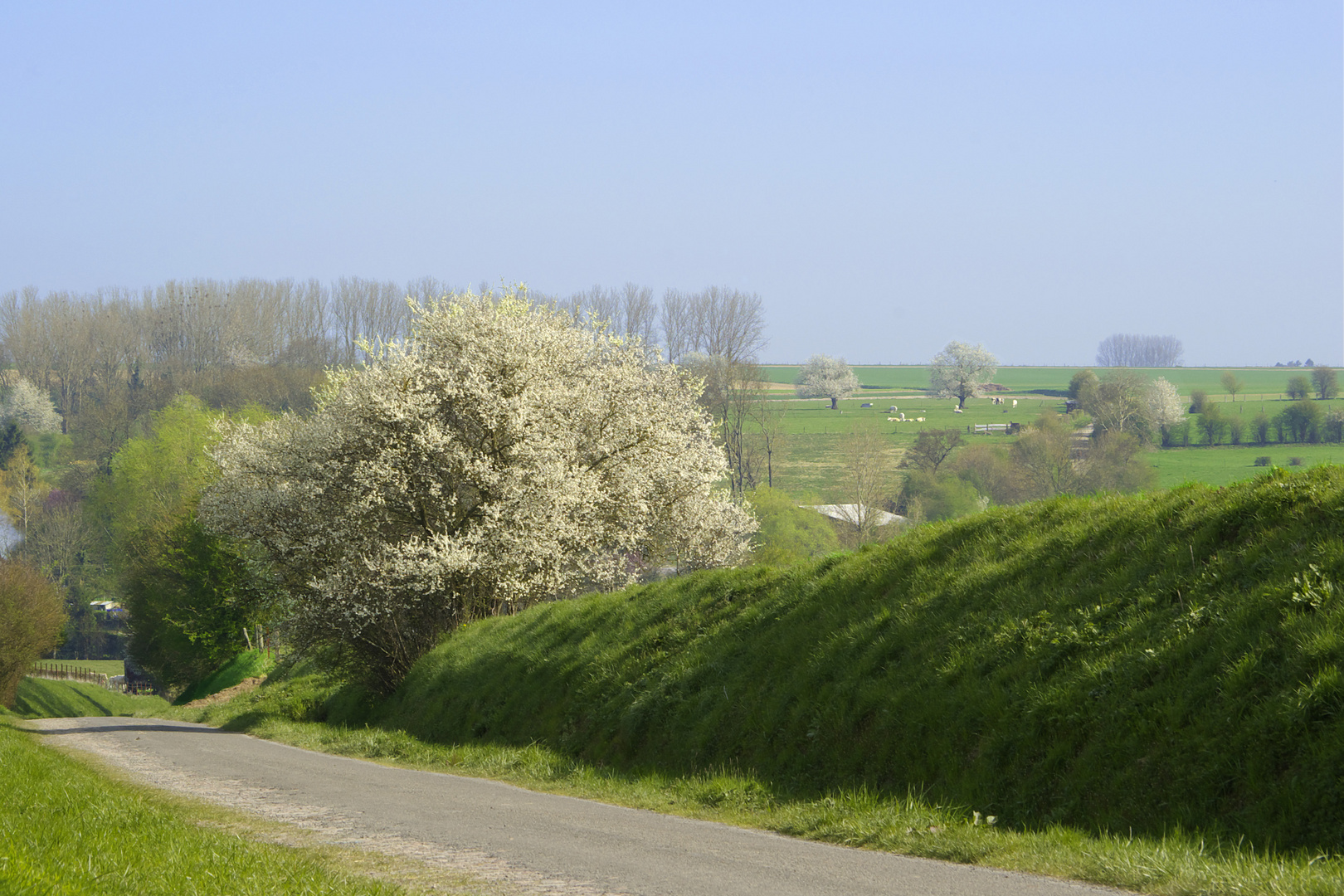 Vers le hameau du buat