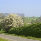 Vers le hameau du buat