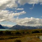 Vers le lac de Tekapo , île du sud de la Nouvezlle -Zélande