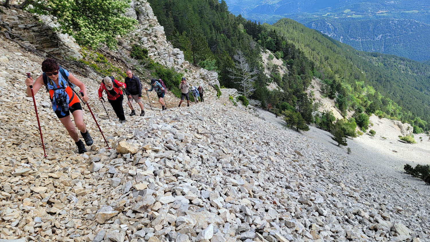 Vers le Mont Ventoux 