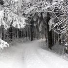 Vers quelle destinée va ce chemin ? Paradis où Enfer ?