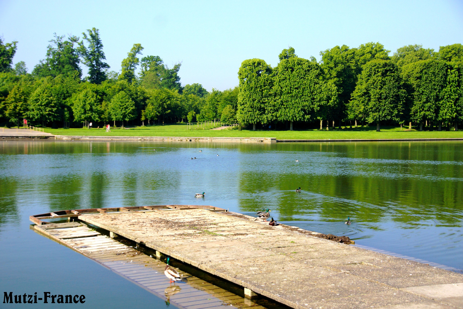 Versailles 2