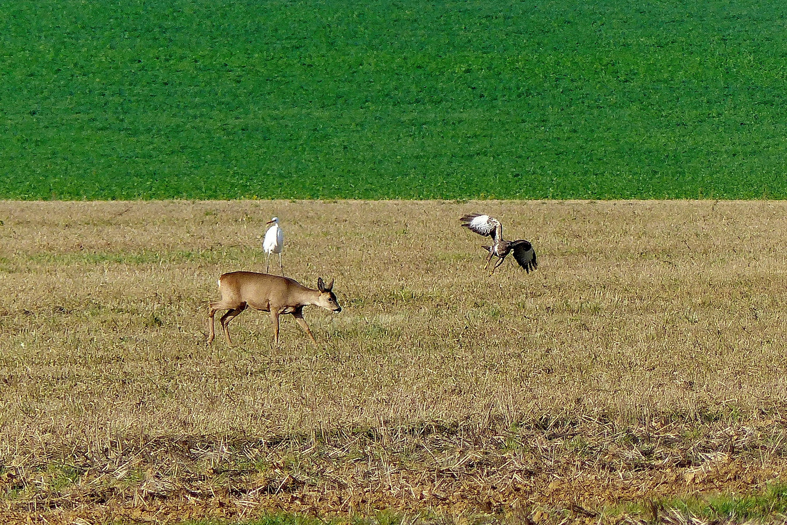 Versammlung.