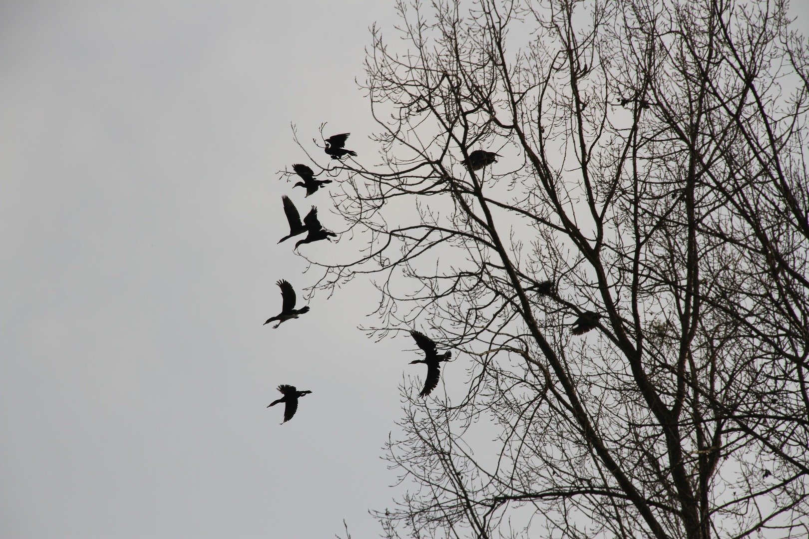 versammlung für den abflug