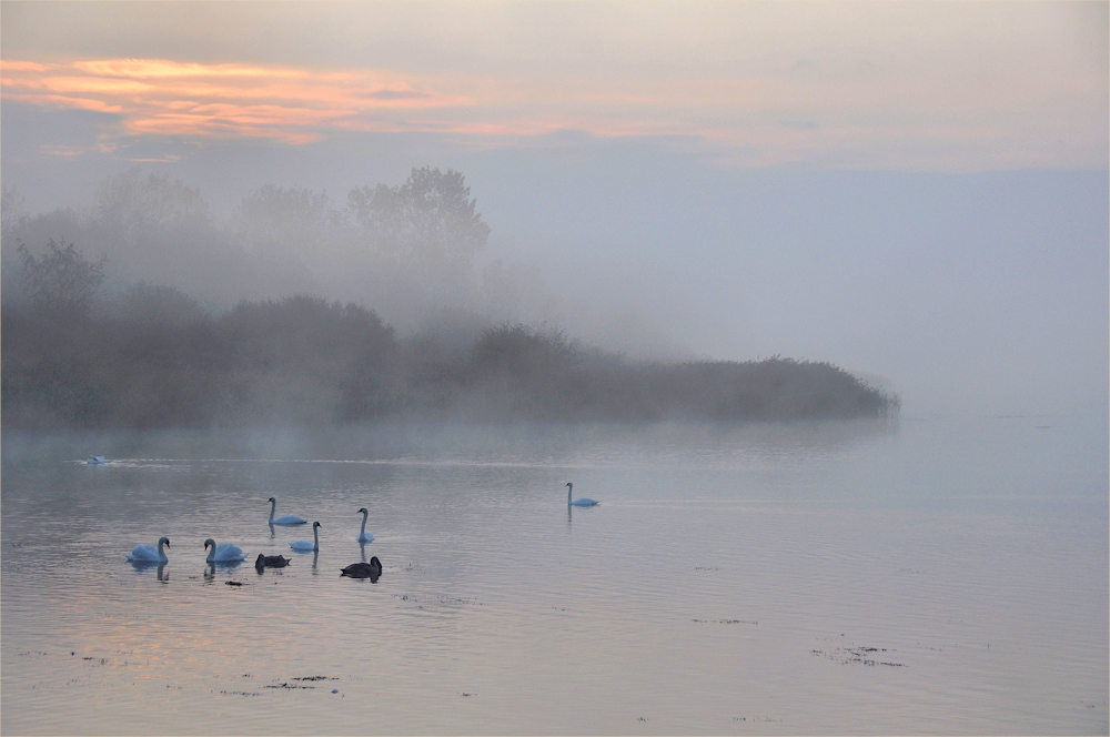 Versammlung im NEBEL