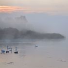 Versammlung im NEBEL