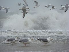 Versammlung im Sturm