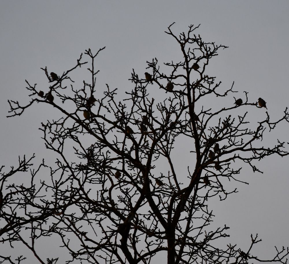 Versammlung ... vor dem Abflug