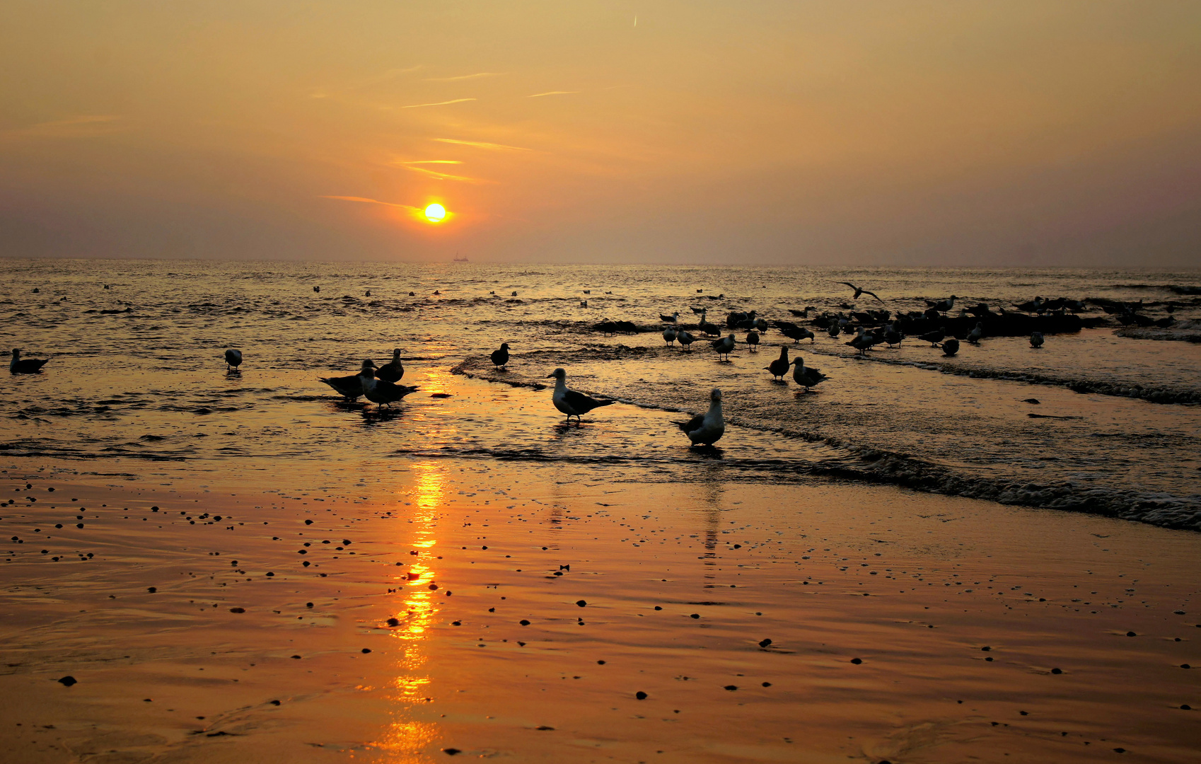 Versammlung vor Sonnenuntergang