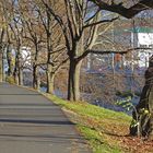 Versauter Elsteruferweg in Plauen