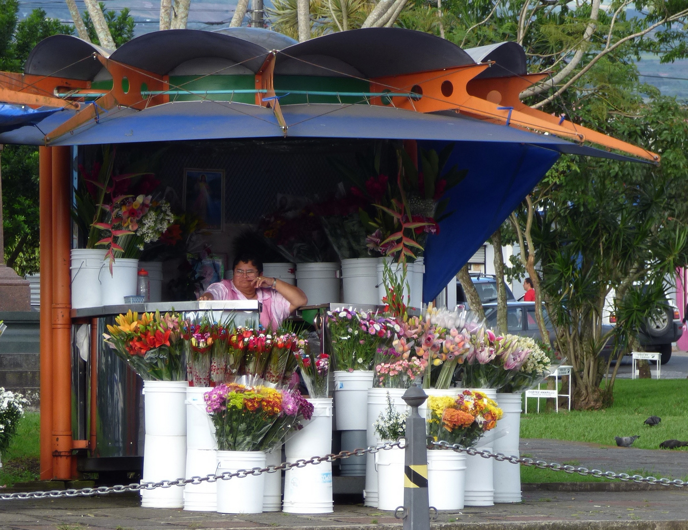 Verschenk mal wieder Blumen !