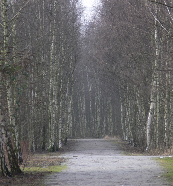 Verschiebebahnhof Frintrop