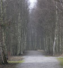 Verschiebebahnhof Frintrop