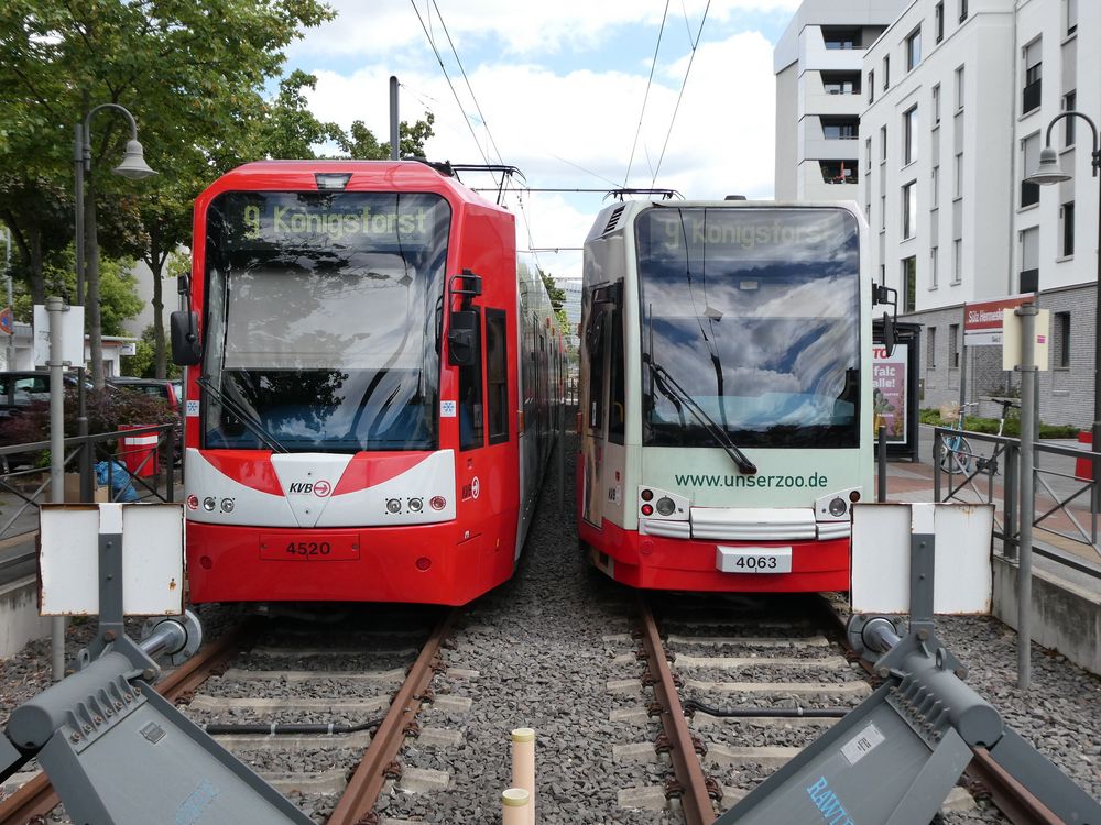 Verschiedene Bahntypen