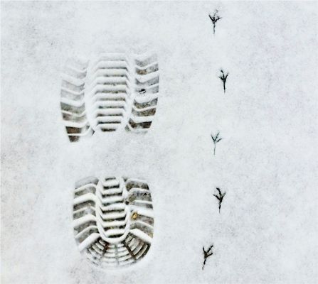 Verschiedene Fussgrössen