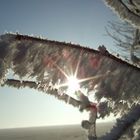 Verschiedene Gesichter hat die Natur