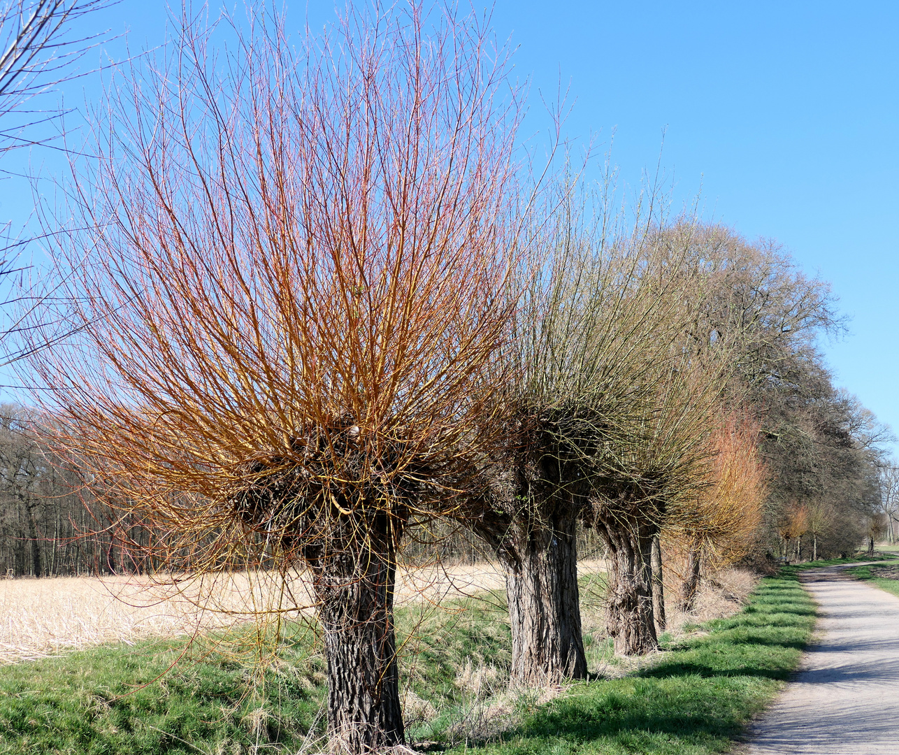 Verschiedene Haarfarben ;-)