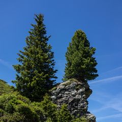 Verschiedene Lebensbedingungen