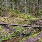 Verschiedene Wege führen ans andere Ufer