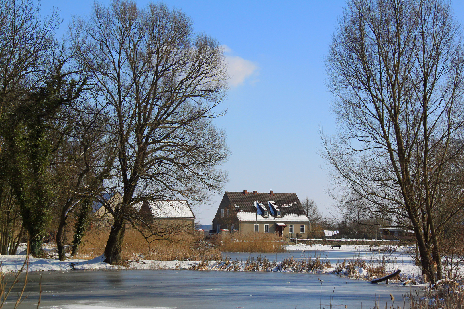 Verschlafen hinterm Teich!