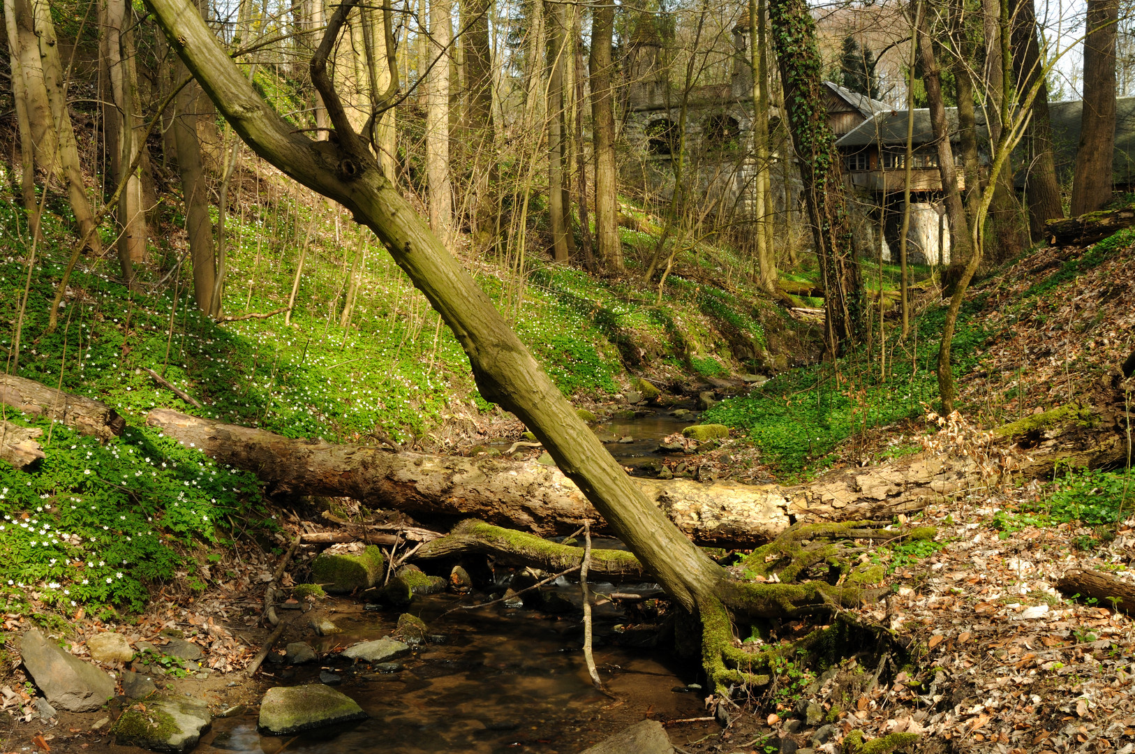 Verschlafene Meixmühle