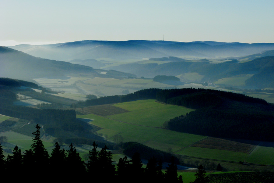 Verschleiert