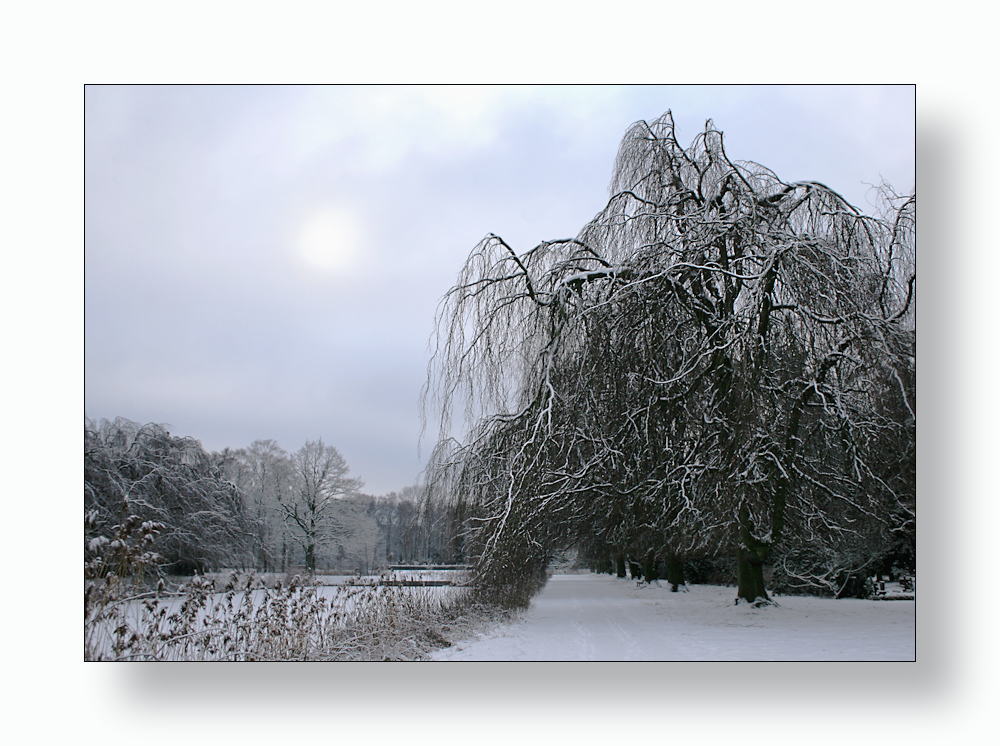 Verschleierte Januarsonne