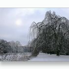 Verschleierte Januarsonne