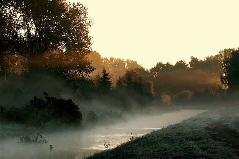 Verschleierte Schönheit II