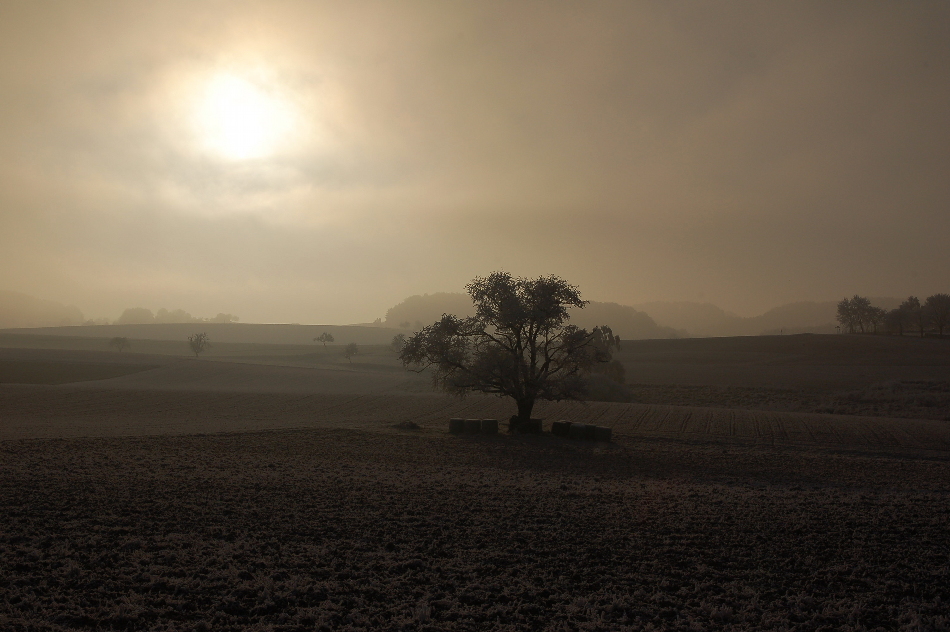 Verschleierte Sonne