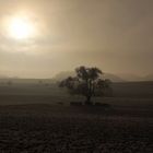 Verschleierte Sonne