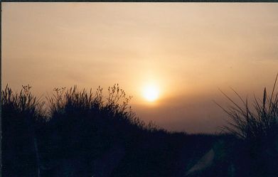 Verschleierte Sonne in den Dünen...