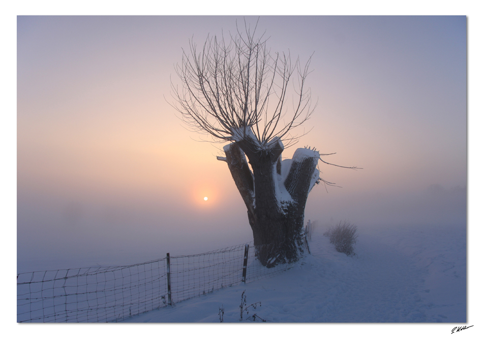 Verschleierte Wintersonne