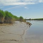 Verschlicktes naturnahes Jümme-Ufer bei Niedrigwasser direkt an der Mündung in die Leda