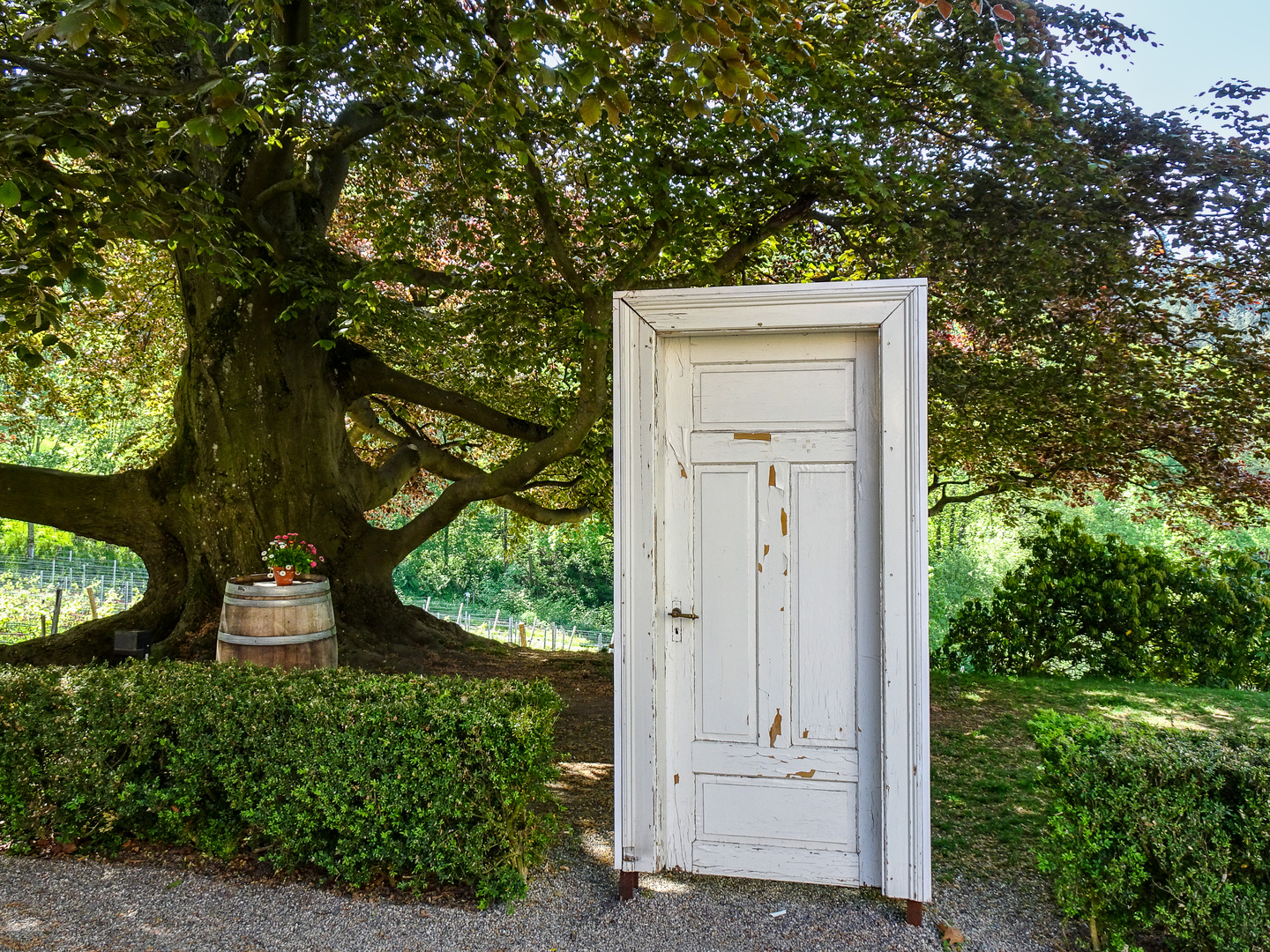 Verschlossene Tür zum Garten ...