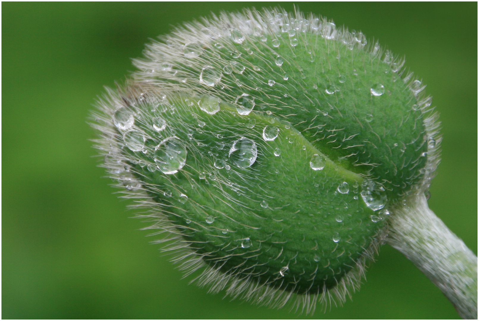 Verschlossenheit...